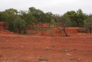 IMG_1214: red soil and dry billabong